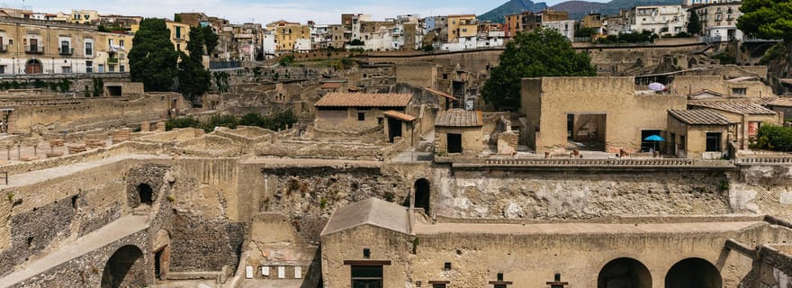 Ercolano: tour guidato con archeologo e ingresso prioritario