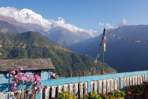 Katmandu: Rapid Ghorepani Poon Hill Trek med guide