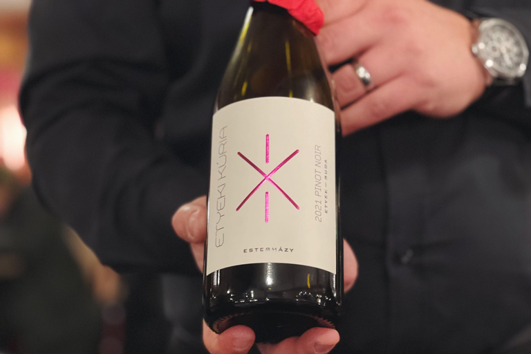 Budapest: Crucero enológico por el Danubio