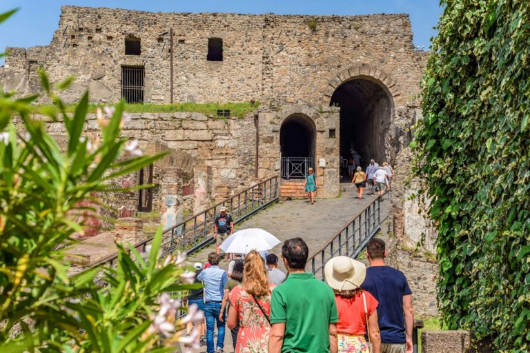Tour guidato di Pompei con una guida locale