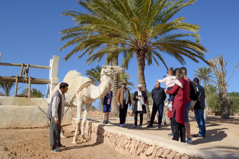 Djerba: Kutschfahrt zum Krokodilpark.