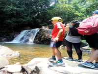 Sinharaja Rainforest Private & Customize Tour - Housity