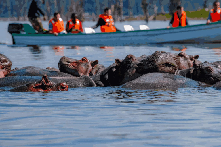 Nairobi: Hell’s Gate, Crescent Island, & Raptor Center Tour