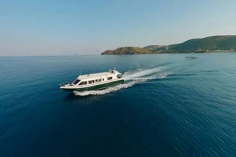 Från Labuan Bajo: Dagstur till Komodoön med snorkling