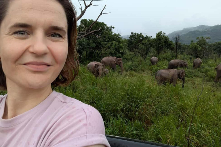 Kandy: Dambulla Cave Temple, Pidurangala, & Safari Tour