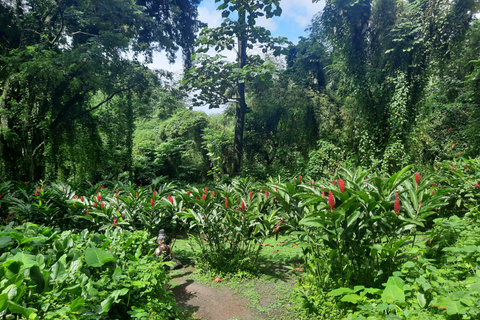 Island Tours: St. Vincent & the Grenadines - Dark View Falls