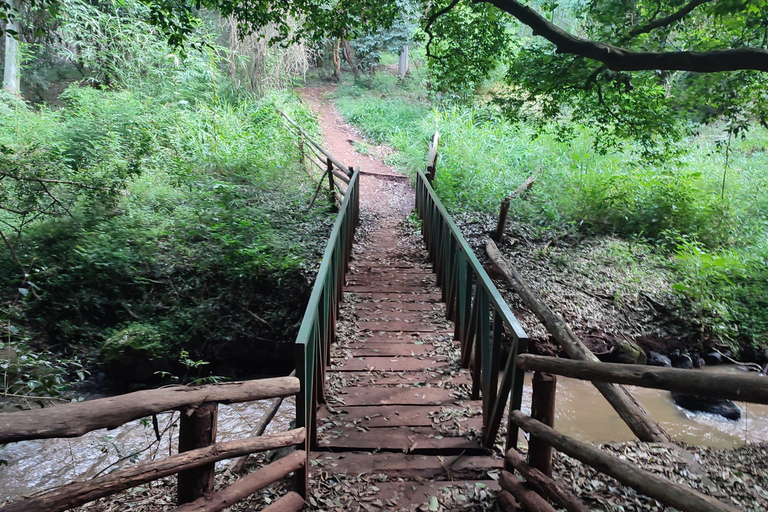 Nairobi: Karura Forest Guided Bike Tour or Walking tour
