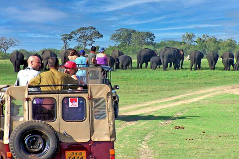 Sigiriya: Minneriya National Park Private Jeep Safari Tour Dambulla: Minneriya National Park Private Jeep Safari Tour