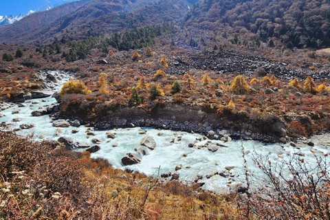 Aventura de 6 días en Langtang : Salida en Grupo Fijo Senderismo Económico