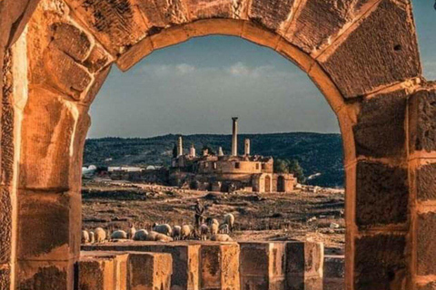 Da Hammamet: visita guidata privata di Oudhna e degustazione di olio d&#039;oliva