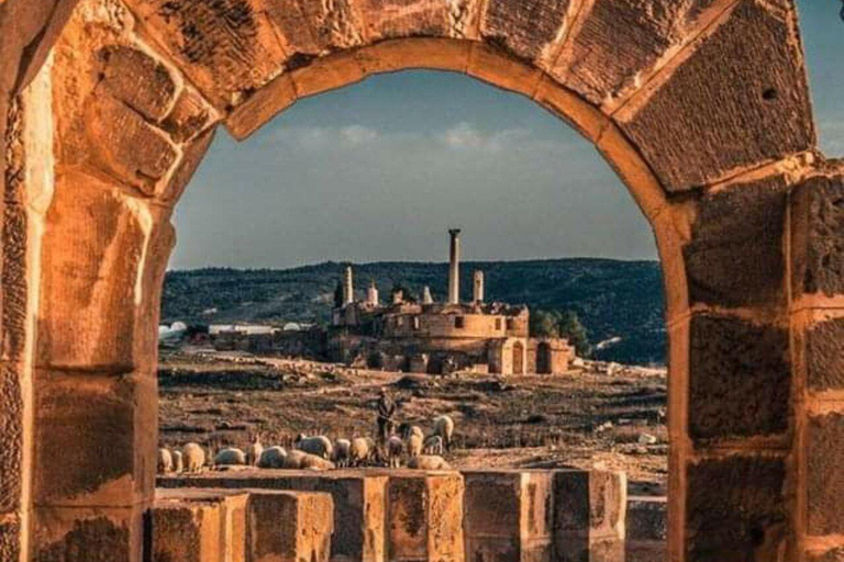 Da Hammamet: visita guidata privata di Oudhna e degustazione di olio d&#039;oliva