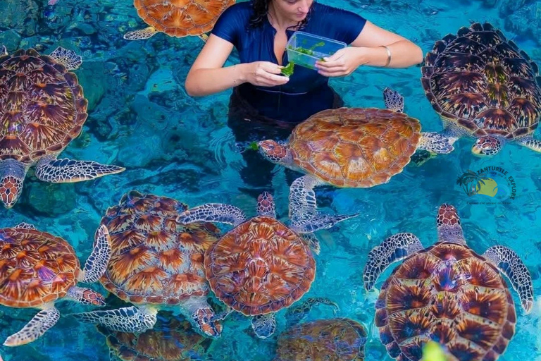 Pemba: Privétour met gidsZanzibar: Salaam Cave Aquarium en Stone Town wandeltour