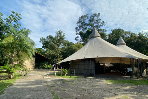 Private tour of the Amazon Museum in Manaus Private Tour at Musa (Amazon Museum) in Manaus
