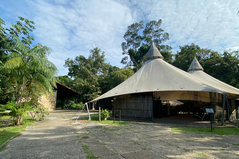 Private tour of the Amazon Museum in Manaus Private Tour at Musa (Amazon Museum) in Manaus
