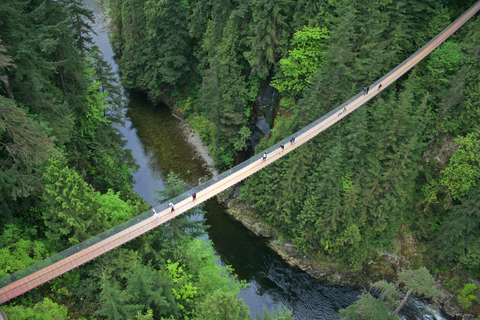 Vancouver: most Capilano, Grouse Mountain i AquabusVancouver: Capilano Bridge, Grouse Mountain &amp; Aquabus Tour