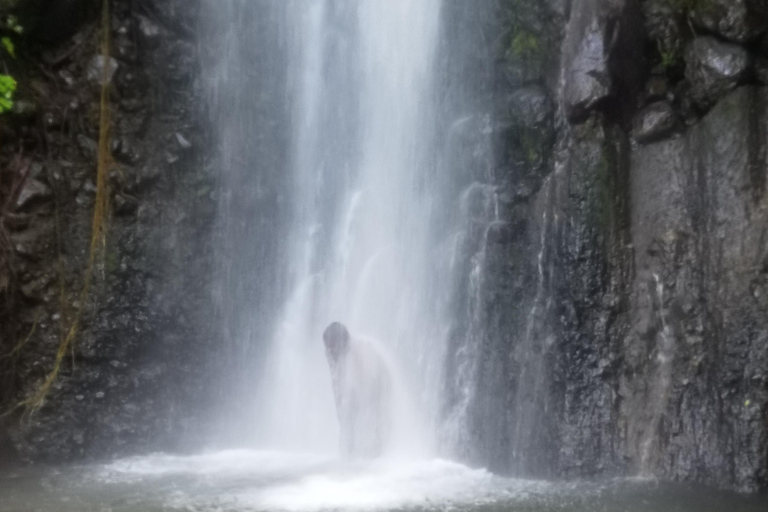 St. Vincent: Dark View Falls Tour