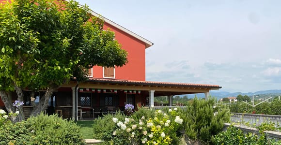 Experience Valpolicella: visit and tasting near Verona