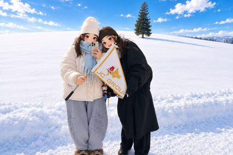 From Sapporo: Snow Fun, Shirahige Falls & Ningle Terrace