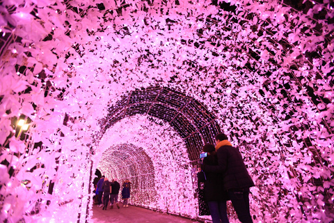 Seoul: Eobi Ice Valley &amp; Nami Island &amp; Railbike (opt.Garden)Shared Tour with Garden - Meet at Myeongdong Station