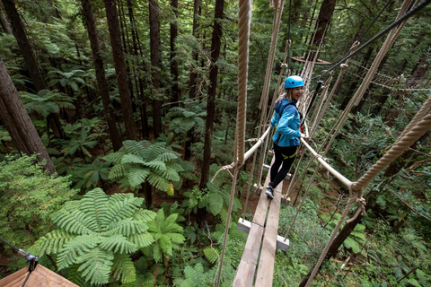 Desde Auckland Pueblo maorí de Rotorua y combinaciones de actividadesVisita y espectáculo en el pueblo maorí de Rotorua