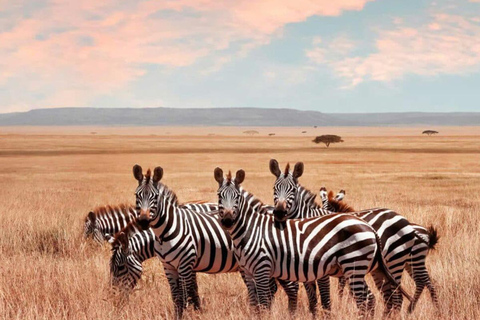 Tansania: 6-tägige Safari-Abenteuerreise mit Wildtieren und KulturTansania: 6 Tage Safari-Abenteuer mit Wildtieren und Kultur