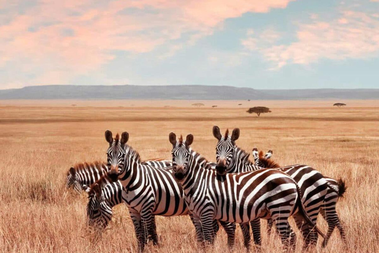 Tansania: 6-tägige Safari-Abenteuerreise mit Wildtieren und KulturTansania: 6 Tage Safari-Abenteuer mit Wildtieren und Kultur