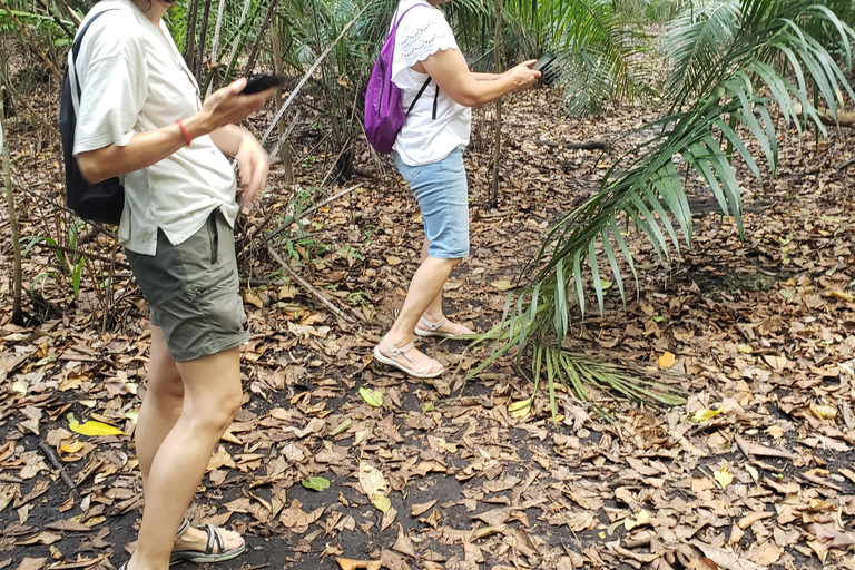 Zanzibar: tour della foresta di Jozani e del santuario delle tartarughe marine