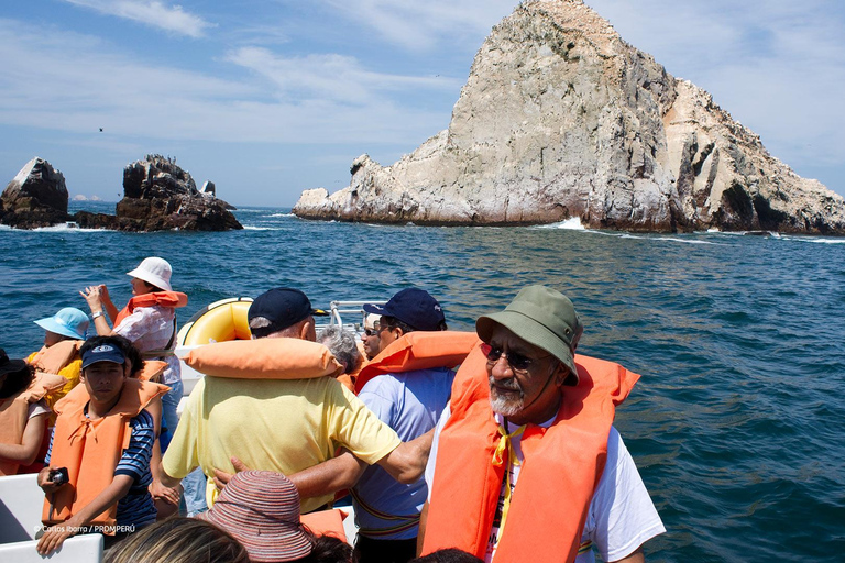 Callao: Palomino Islands Yacht Tour with Sea Lions Swim