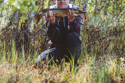 روفانيمي: جولة صيد أبوكا