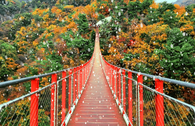 From Seoul: DMZ The 3rd Tunnel and Suspension Bridge Tour