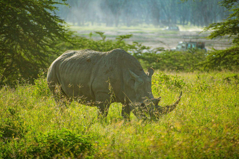 Nairobi: Lake Nakuru National Park and Lake Naivasha Tour