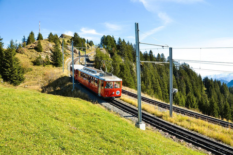 Indimenticabile escursione sul Rigi: un lago e un panorama alpino fenomenali