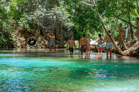 Ocho Rios: Blue Hole, Dunn's River Falls & White River Tour