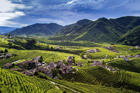 From Venice: Wine and Food tour in the Prosecco Hills
