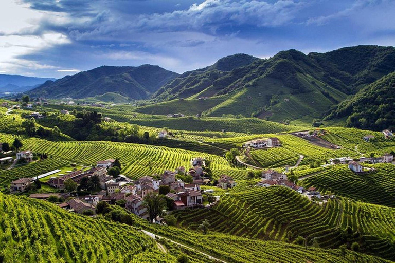 From Venice: Wine and Food tour in the Prosecco Hills