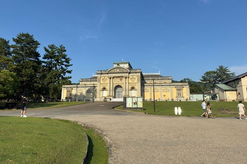 From Osaka/Kyoto: Nara One Day Private Tour