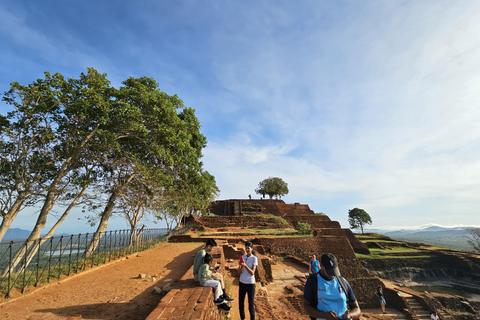 From Colombo: Sigiriya Rock and Dambulla Day Trip and Safari