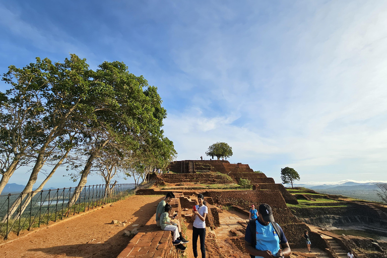 From Colombo: Sigiriya Rock and Dambulla Day Trip and Safari