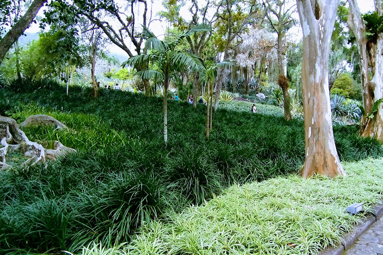 Rio de Janeiro: Burle Marx Site and Secret Beaches Day Tour