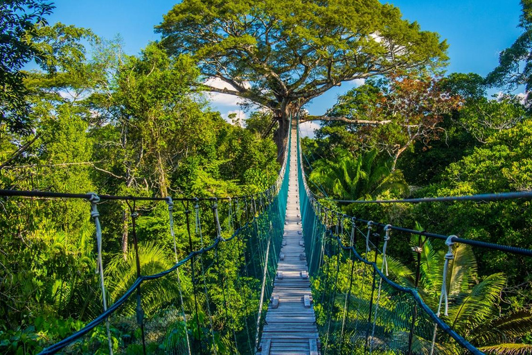 Puerto Maldonado: 4 days kayak tour