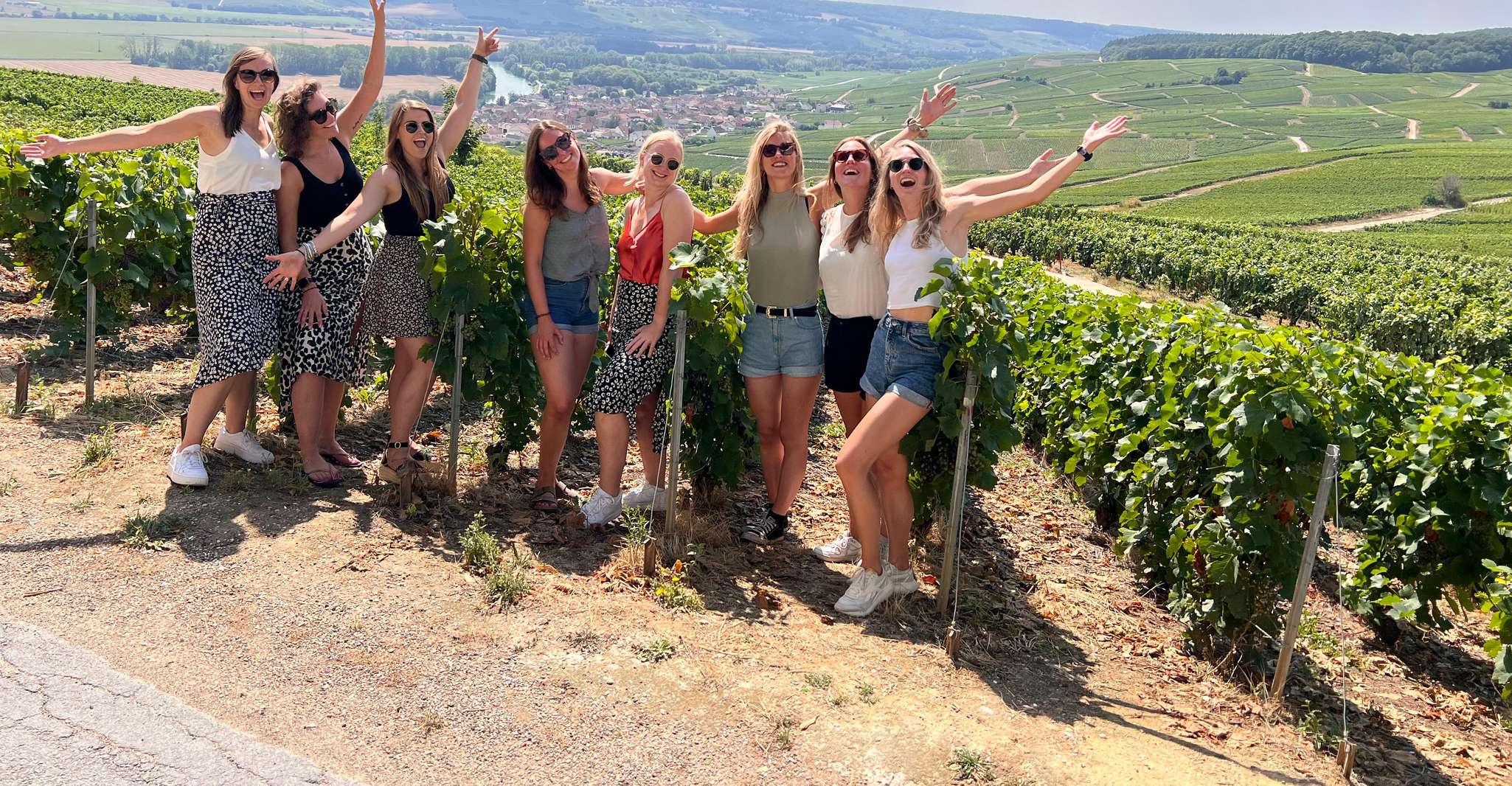 From Reims/Epernay: Champagne half-day tour (small group) photo 3