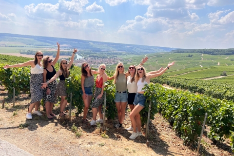 From Reims/Epernay: Champagne half-day tour (small group) Champagne afternoon tour in van