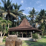 Petak Village Walk: Morning Life, Traditional Houses & Lunch