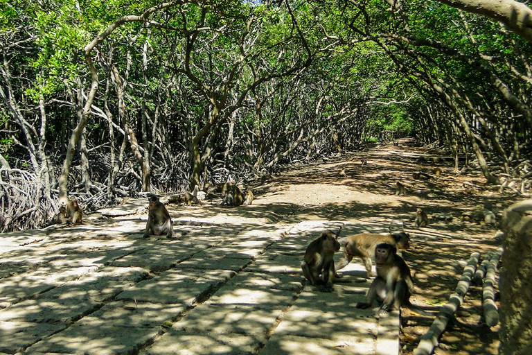 Från Ho Chi Minh-staden: Utflykt till Monkey Island med båtGruppresa (max 15 personer/grupp)