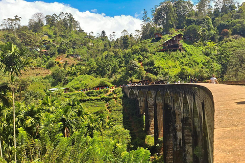 Excursion avec dégustation et environnement vert à Ella