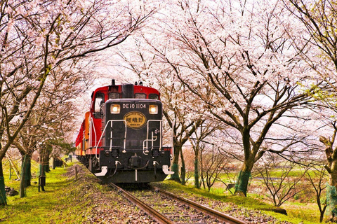 Kioto/Osaka: Nara, Fushimi Inari, Arashiyama - całodniowa wycieczkaZ Osaki Nie obejmuje biletu kolejowego