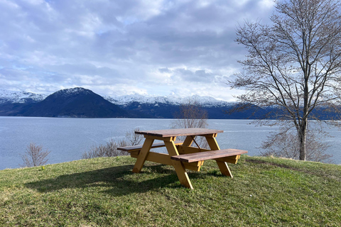 Bergen: Privat tur i staden med det bästa av HardangerfjordenBergen: Privat guidad stadstur och det bästa av fjordarna.