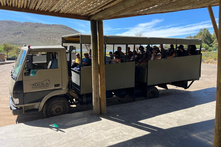 Safari au coucher du soleil dans la réserve de chasse d&#039;Aquila avec transport privé