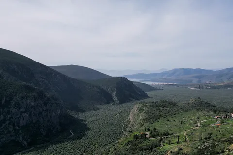 Delphi: Easy Hike on Ancient Path through the Olive Groves