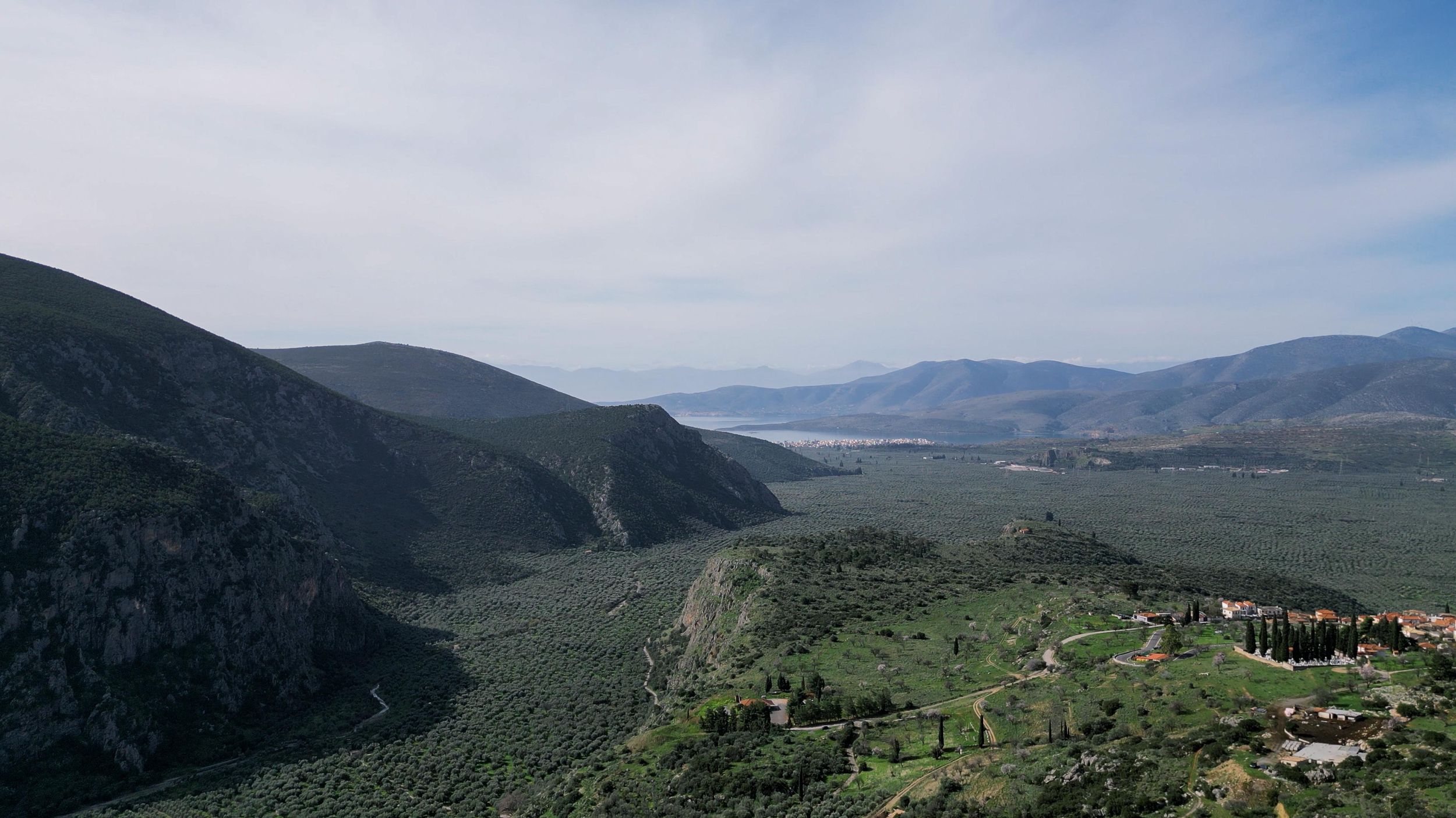 Delphi: Leichte Wanderung auf antikem Pfad durch die Olivenhaine